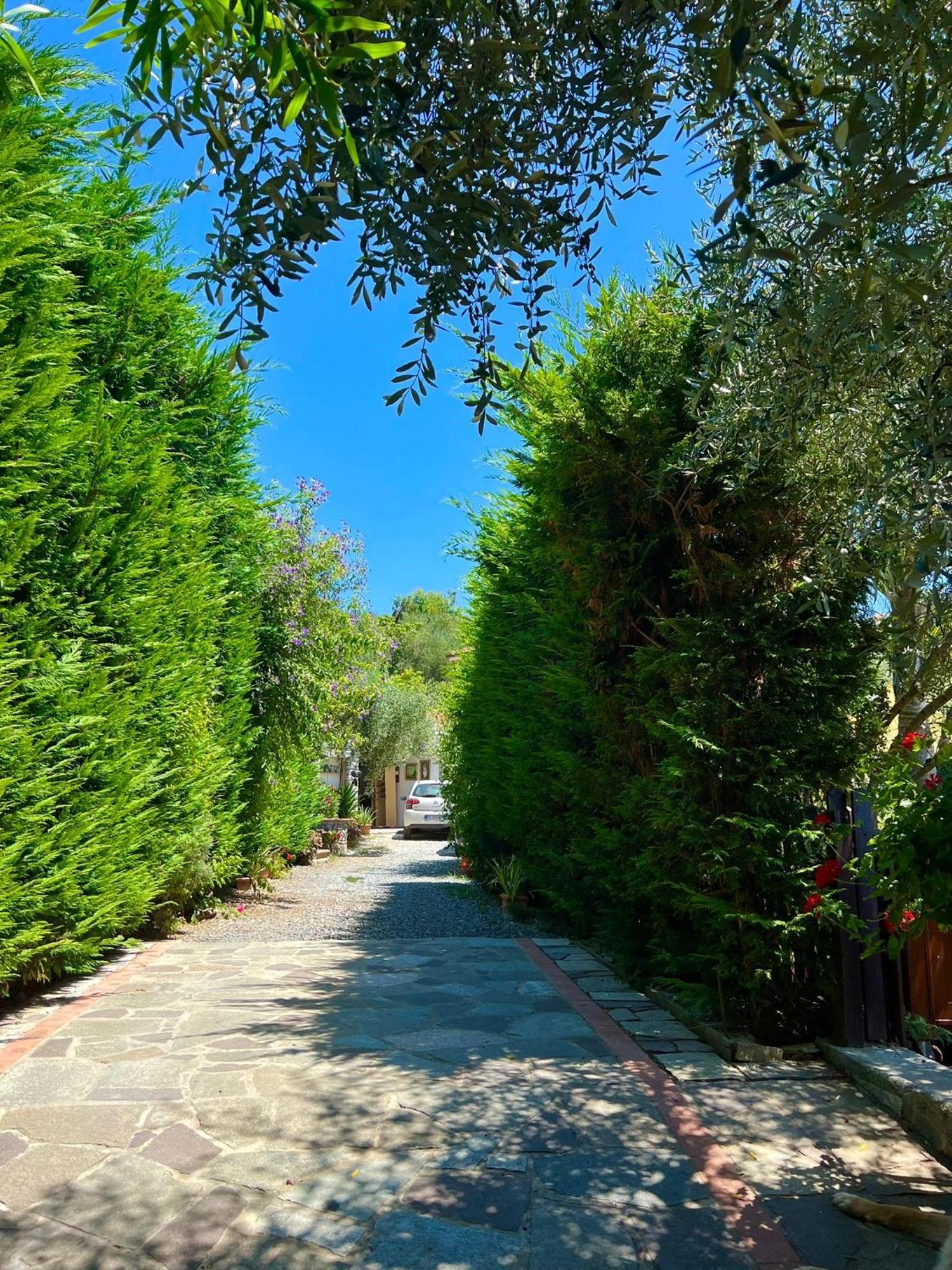Le Jardin Sur Mer Avec Bike Et Mtb Tour Hotel Imperia Exterior photo